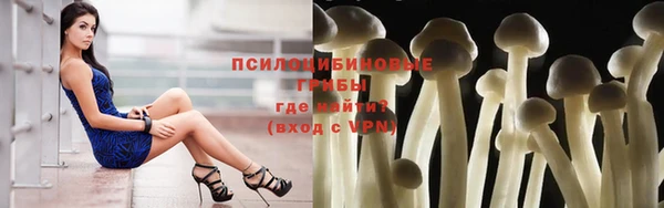 бутик Зеленокумск