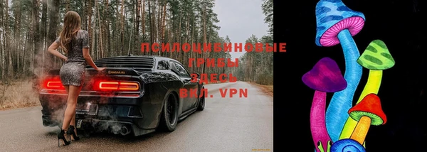 синтетический гашиш Зеленодольск