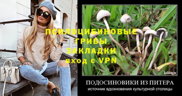 синтетический гашиш Зеленодольск